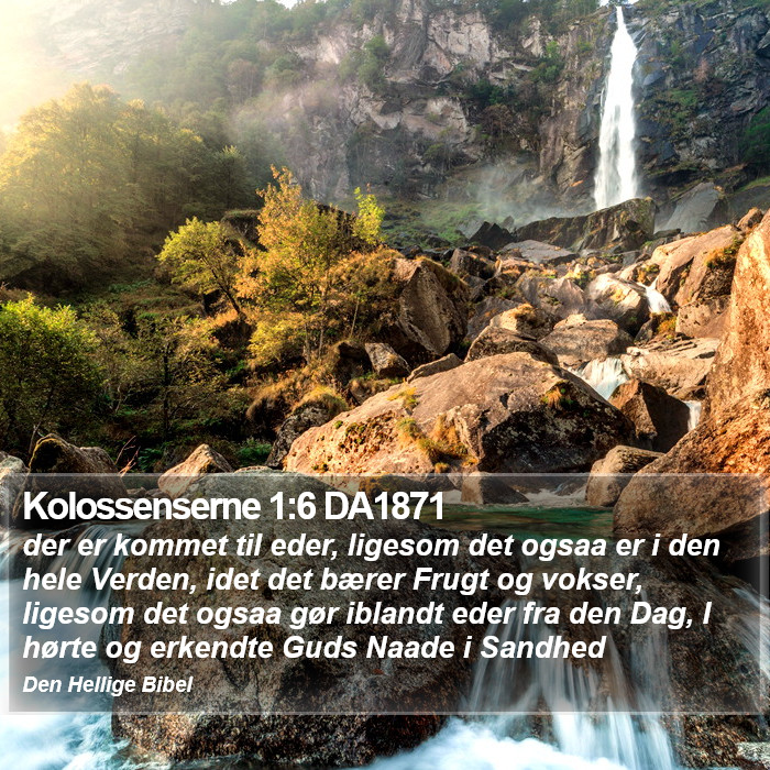 Kolossenserne 1:6 DA1871 Bible Study