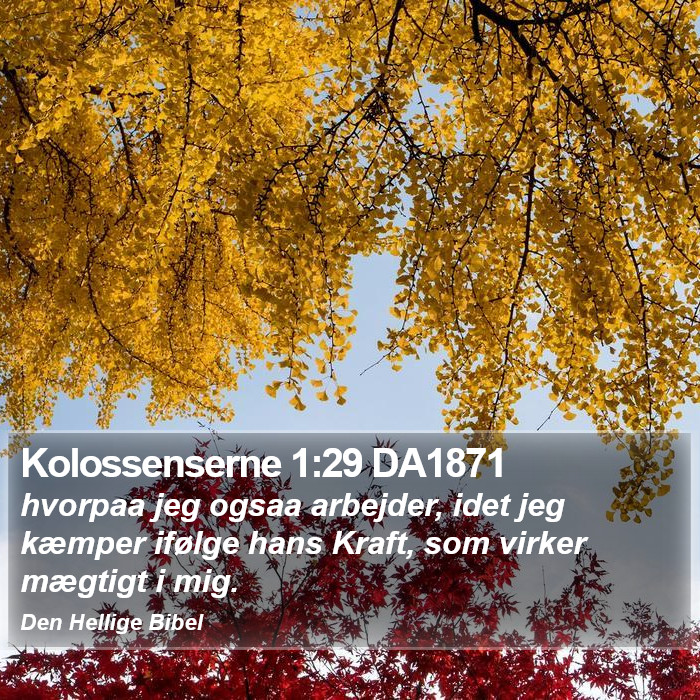 Kolossenserne 1:29 DA1871 Bible Study