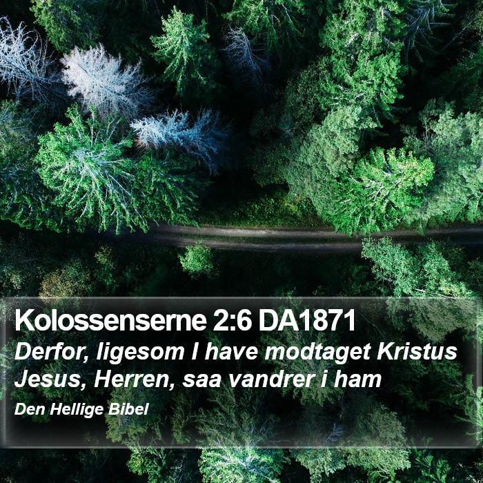Kolossenserne 2:6 DA1871 Bible Study