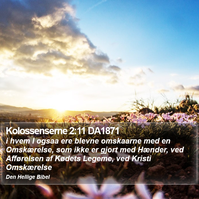 Kolossenserne 2:11 DA1871 Bible Study