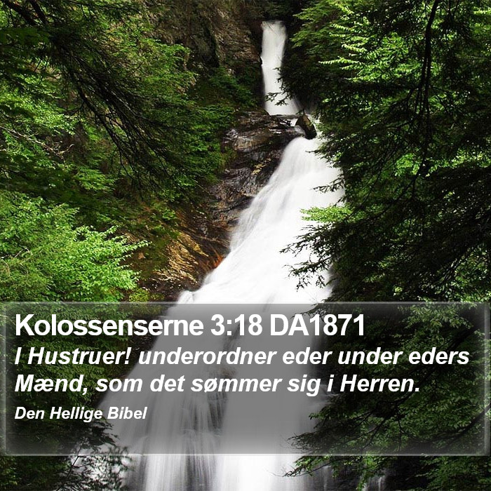 Kolossenserne 3:18 DA1871 Bible Study