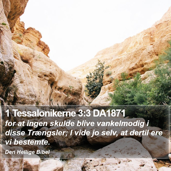 1 Tessalonikerne 3:3 DA1871 Bible Study