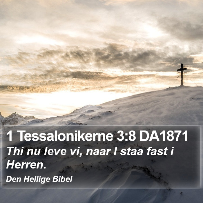 1 Tessalonikerne 3:8 DA1871 Bible Study