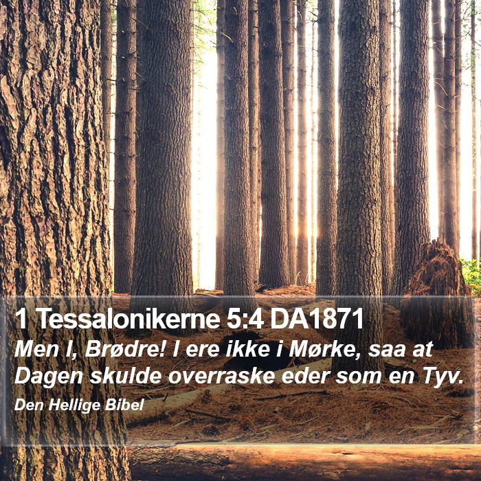 1 Tessalonikerne 5:4 DA1871 Bible Study