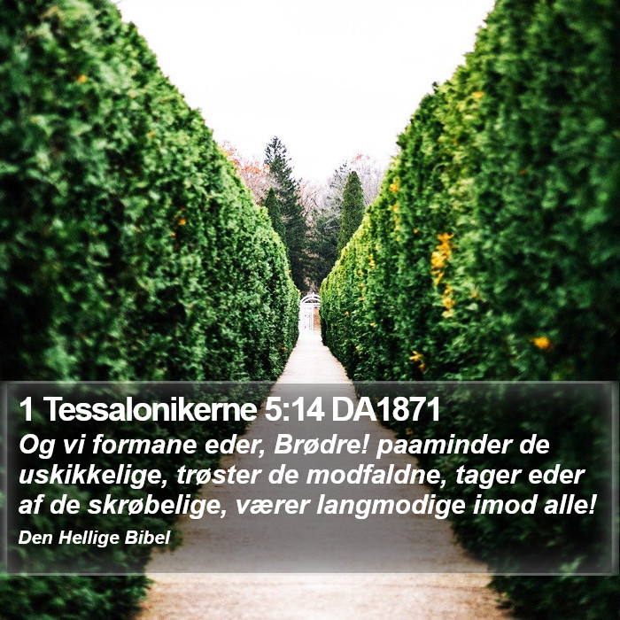 1 Tessalonikerne 5:14 DA1871 Bible Study