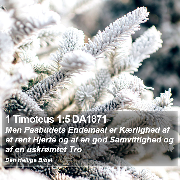 1 Timoteus 1:5 DA1871 Bible Study