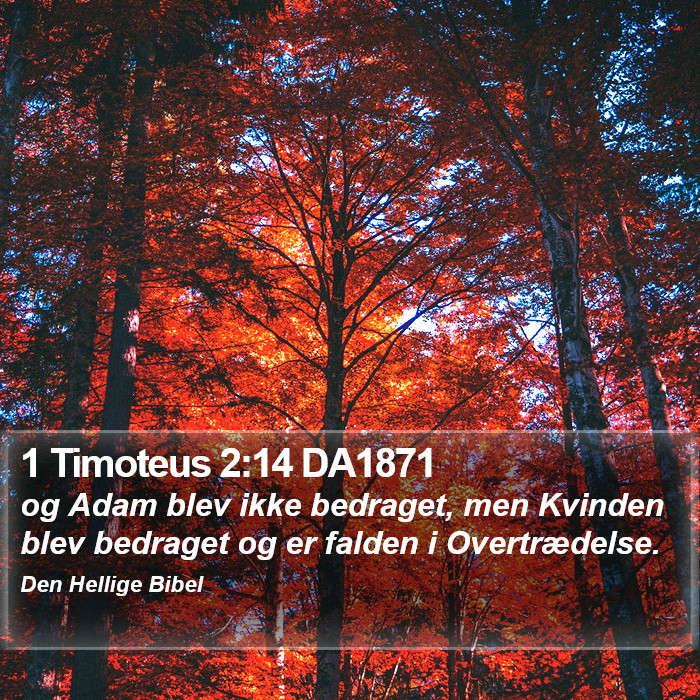 1 Timoteus 2:14 DA1871 Bible Study