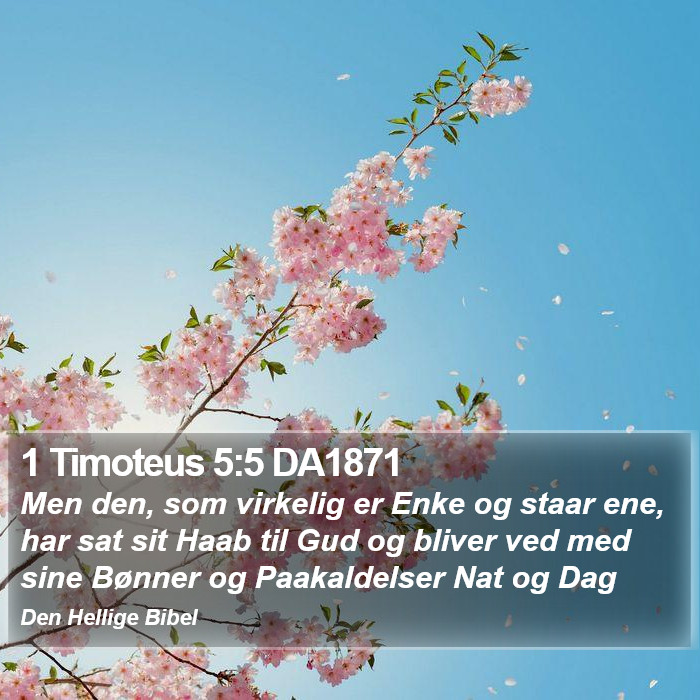 1 Timoteus 5:5 DA1871 Bible Study