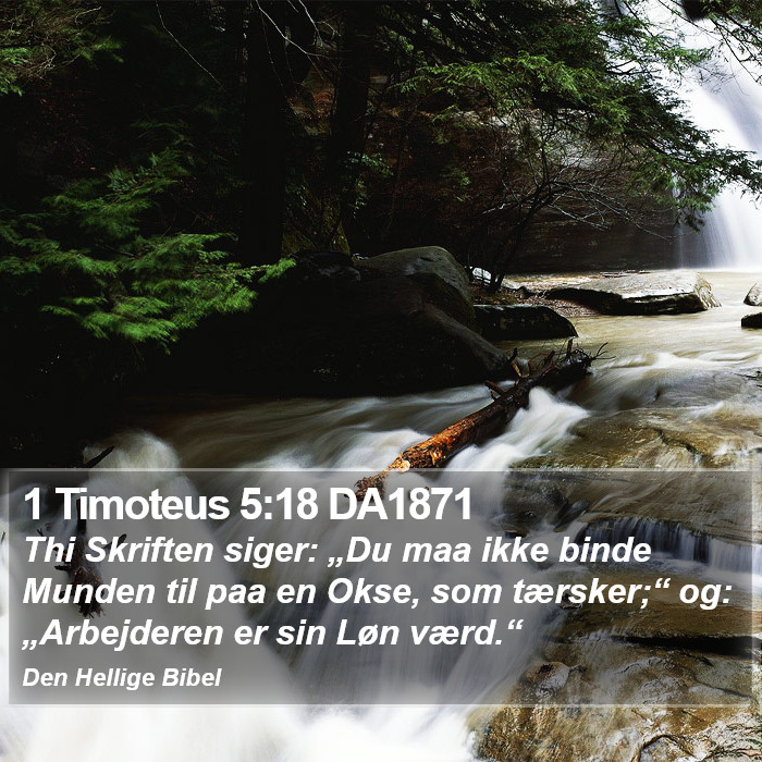 1 Timoteus 5:18 DA1871 Bible Study