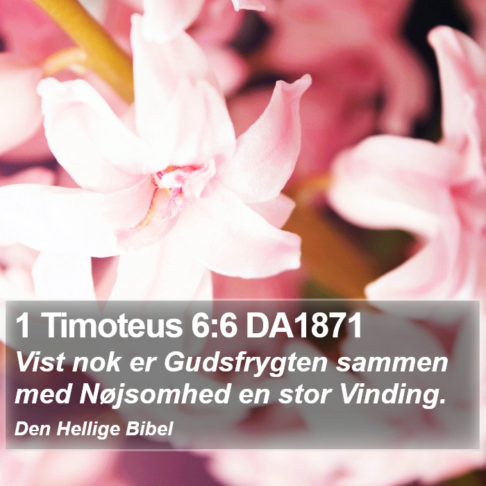 1 Timoteus 6:6 DA1871 Bible Study