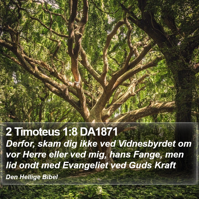 2 Timoteus 1:8 DA1871 Bible Study