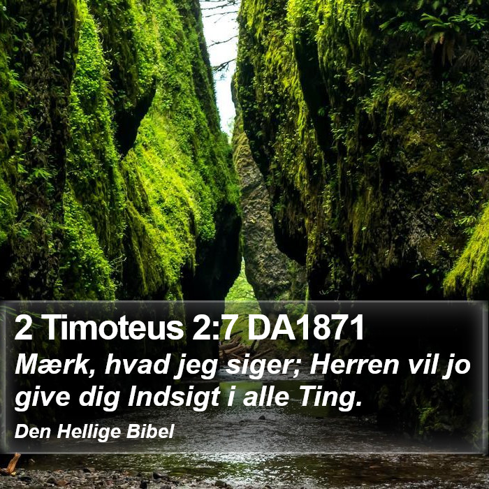 2 Timoteus 2:7 DA1871 Bible Study