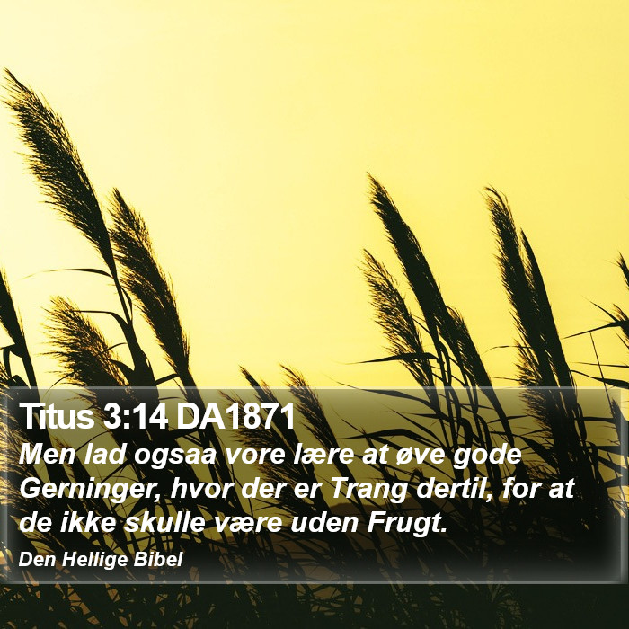 Titus 3:14 DA1871 Bible Study