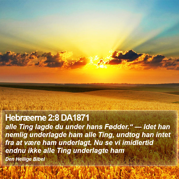 Hebræerne 2:8 DA1871 Bible Study