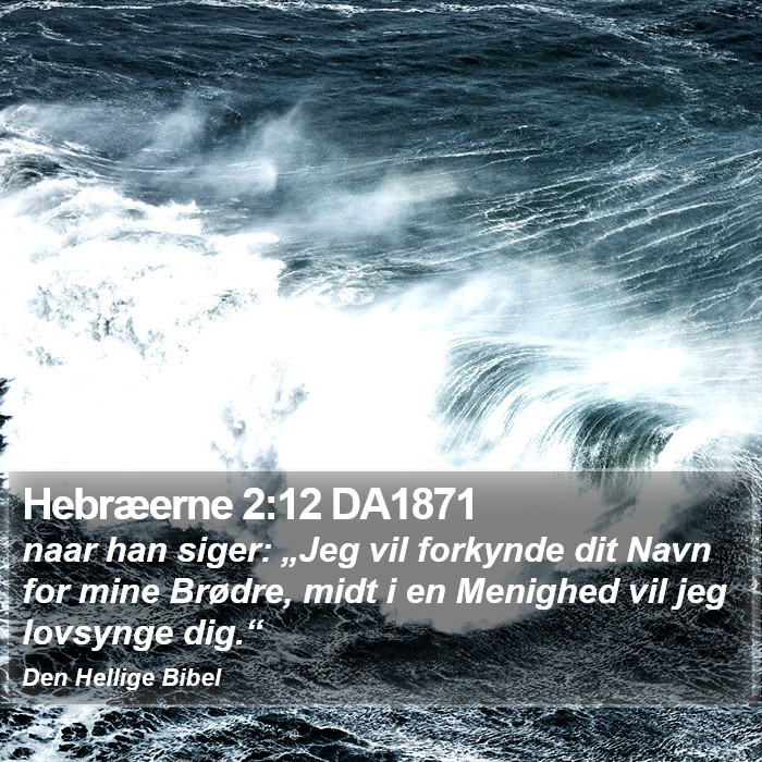 Hebræerne 2:12 DA1871 Bible Study