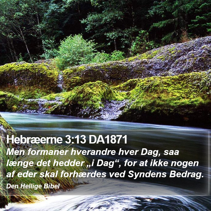 Hebræerne 3:13 DA1871 Bible Study