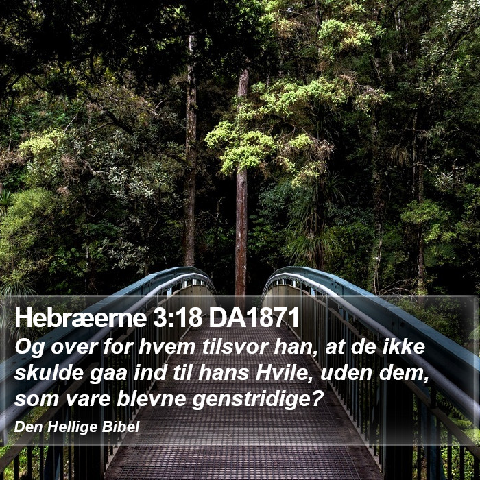 Hebræerne 3:18 DA1871 Bible Study