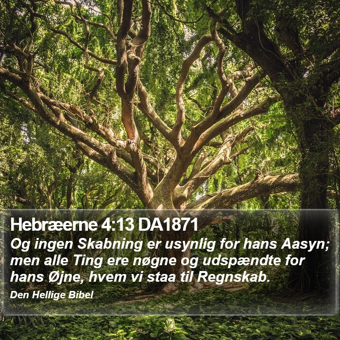 Hebræerne 4:13 DA1871 Bible Study