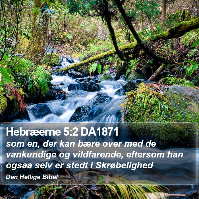 Hebræerne 5:2 DA1871 Bible Study