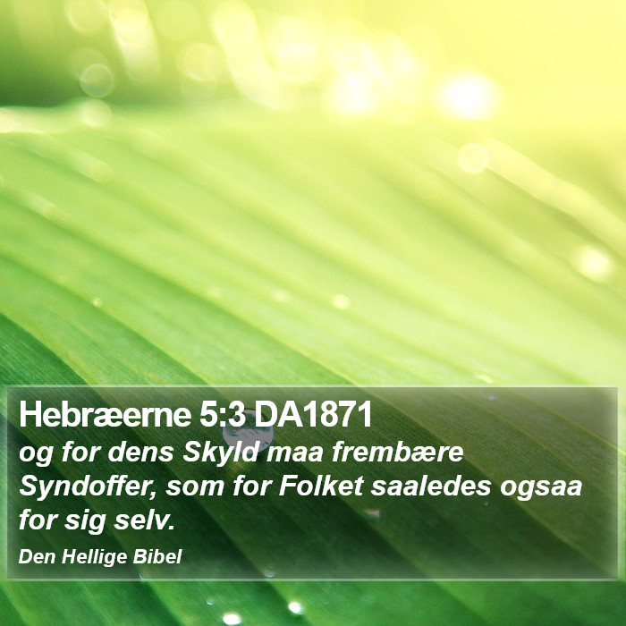 Hebræerne 5:3 DA1871 Bible Study