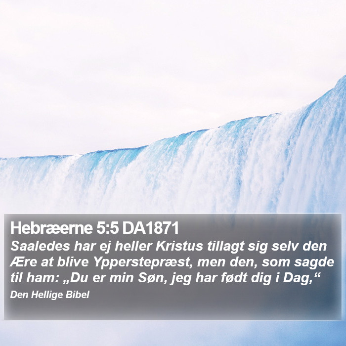 Hebræerne 5:5 DA1871 Bible Study