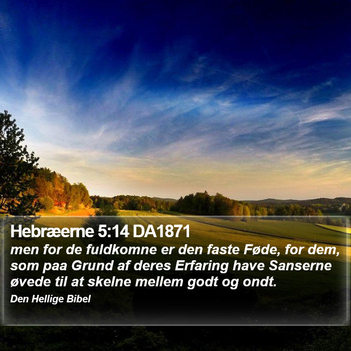 Hebræerne 5:14 DA1871 Bible Study