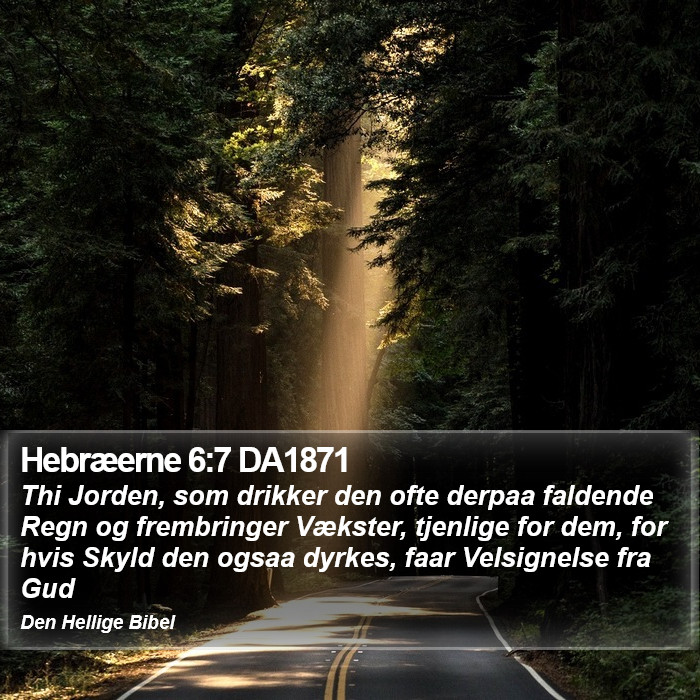 Hebræerne 6:7 DA1871 Bible Study