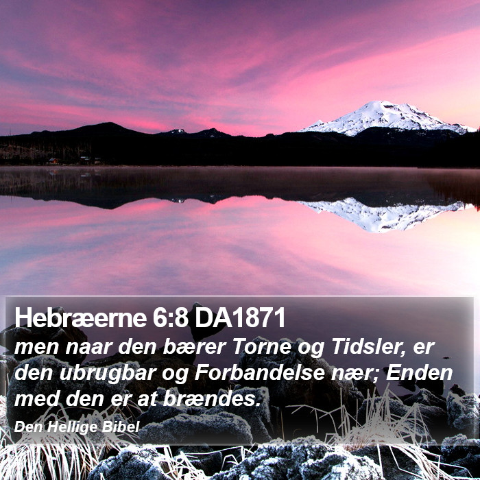 Hebræerne 6:8 DA1871 Bible Study