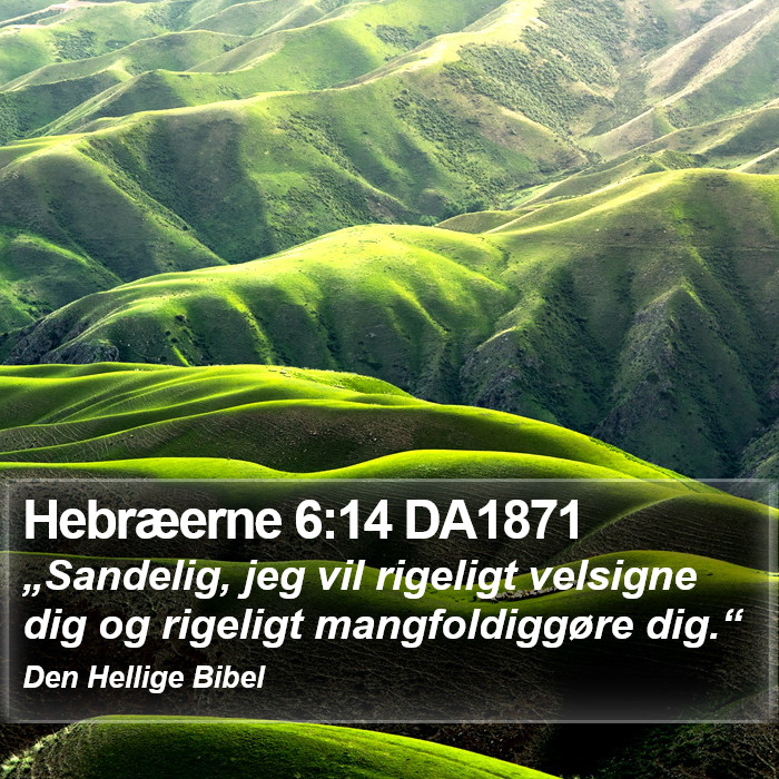 Hebræerne 6:14 DA1871 Bible Study
