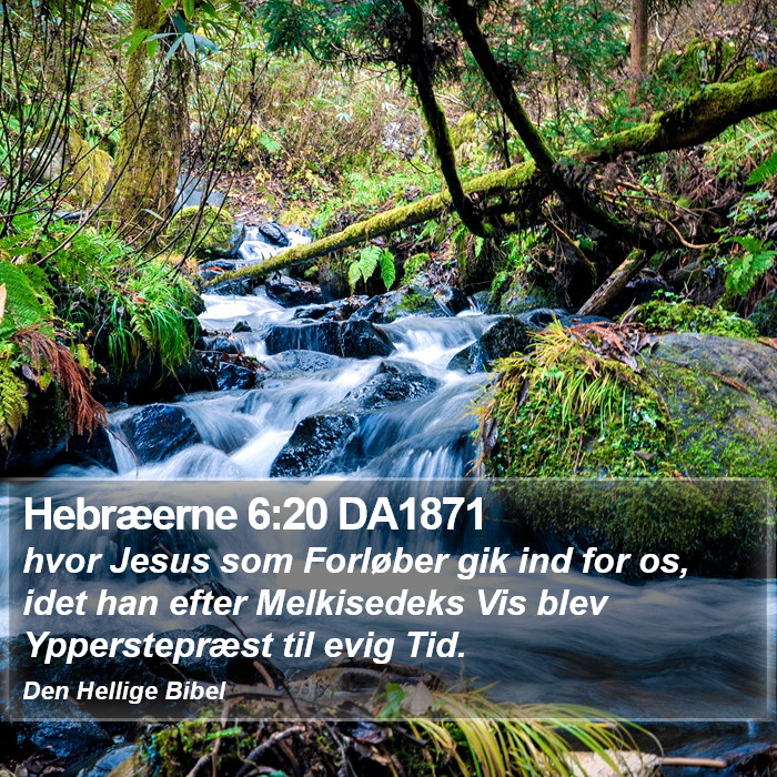 Hebræerne 6:20 DA1871 Bible Study