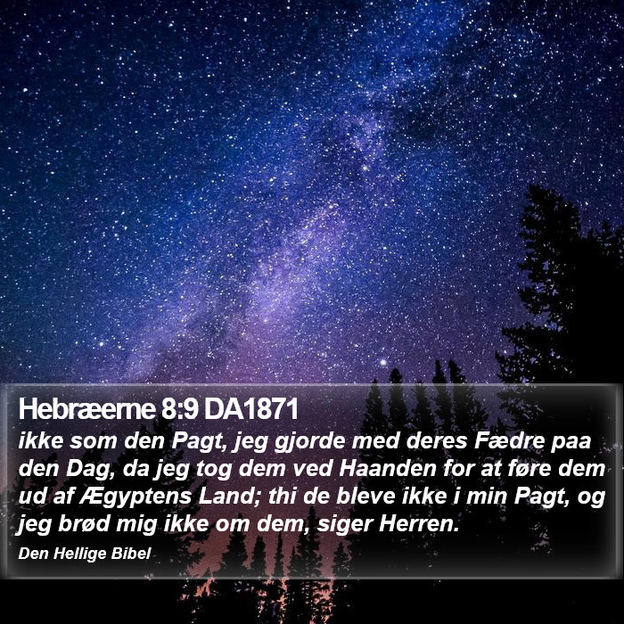 Hebræerne 8:9 DA1871 Bible Study