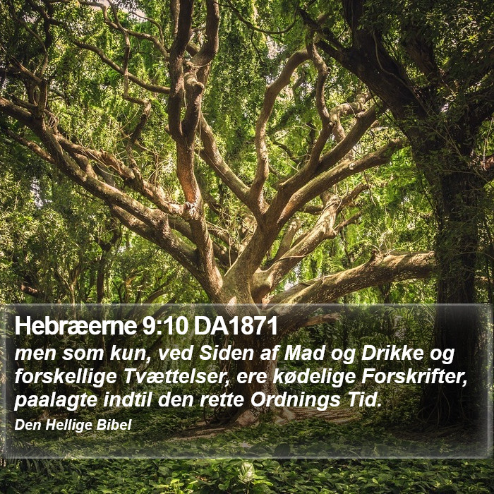 Hebræerne 9:10 DA1871 Bible Study