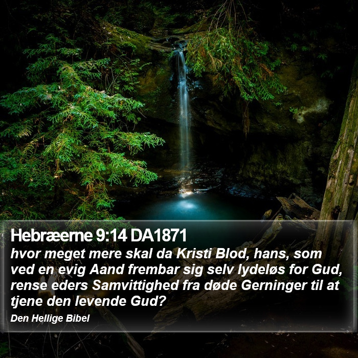 Hebræerne 9:14 DA1871 Bible Study