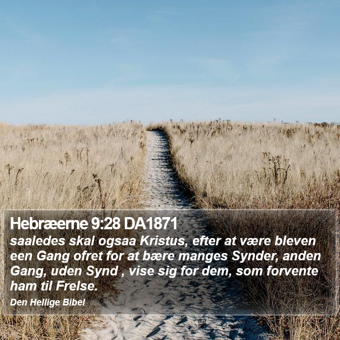 Hebræerne 9:28 DA1871 Bible Study