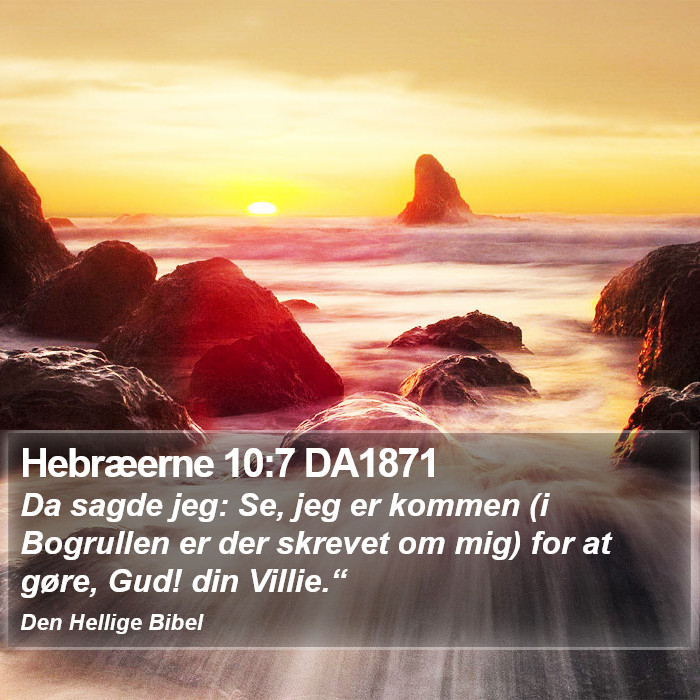 Hebræerne 10:7 DA1871 Bible Study