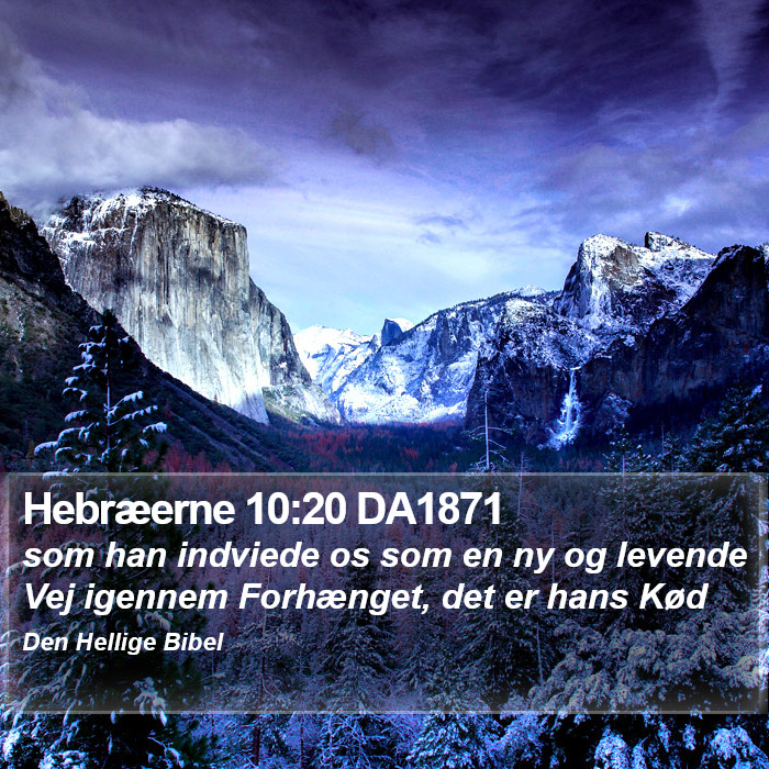 Hebræerne 10:20 DA1871 Bible Study