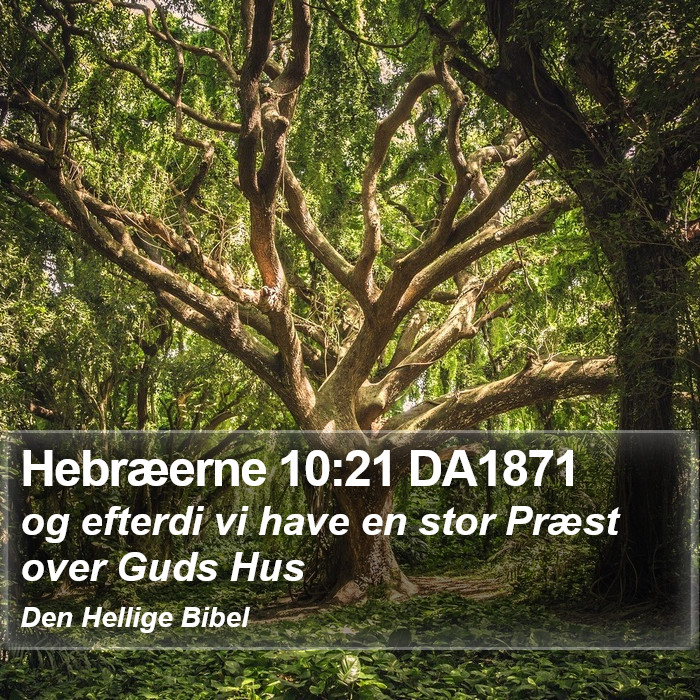 Hebræerne 10:21 DA1871 Bible Study