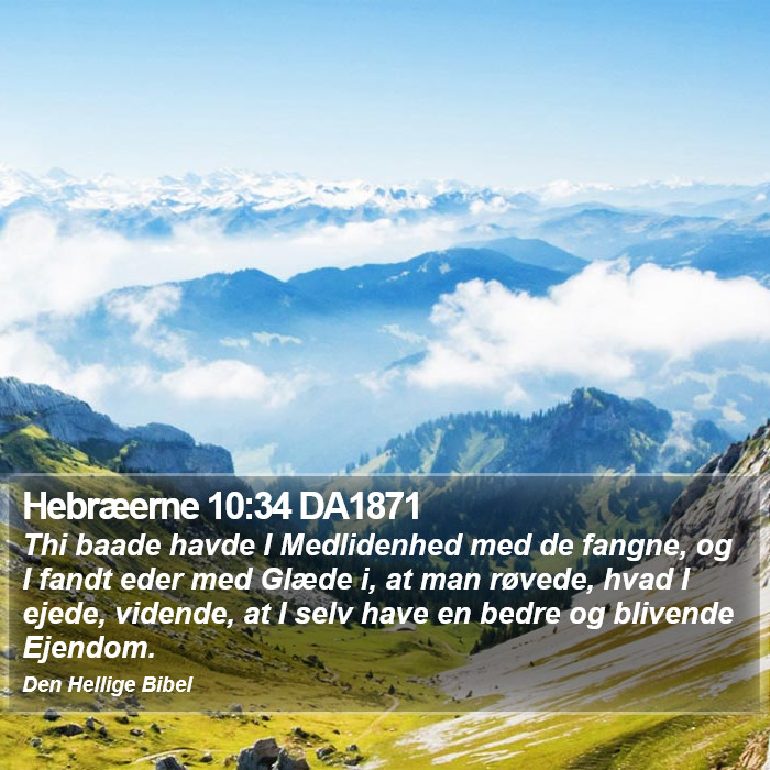 Hebræerne 10:34 DA1871 Bible Study