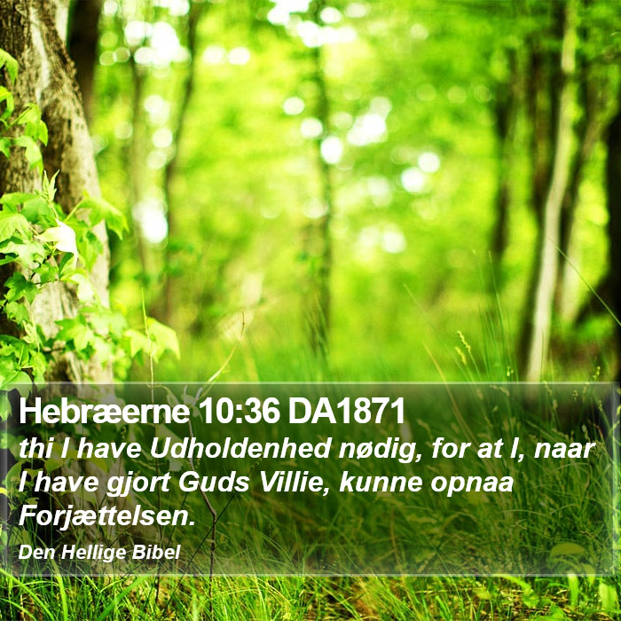 Hebræerne 10:36 DA1871 Bible Study