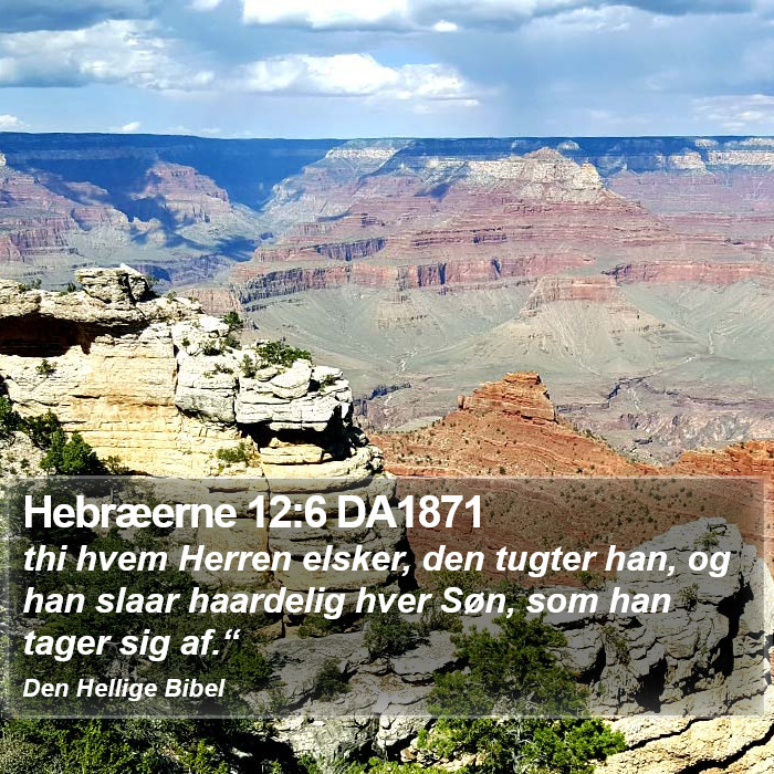 Hebræerne 12:6 DA1871 Bible Study