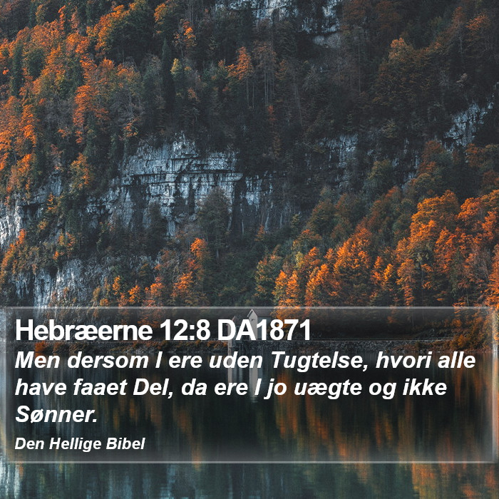 Hebræerne 12:8 DA1871 Bible Study