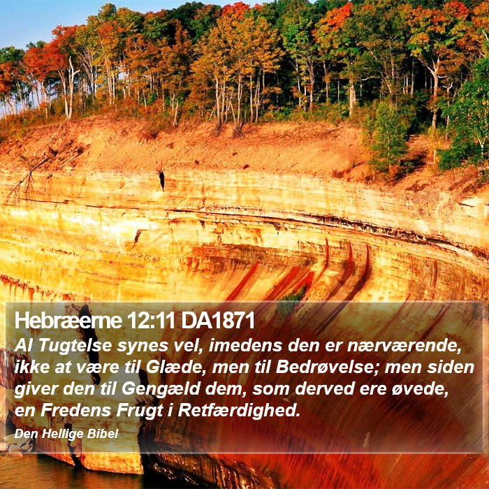 Hebræerne 12:11 DA1871 Bible Study