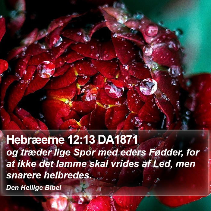 Hebræerne 12:13 DA1871 Bible Study