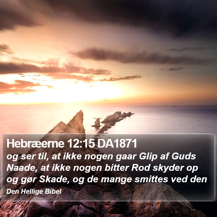 Hebræerne 12:15 DA1871 Bible Study