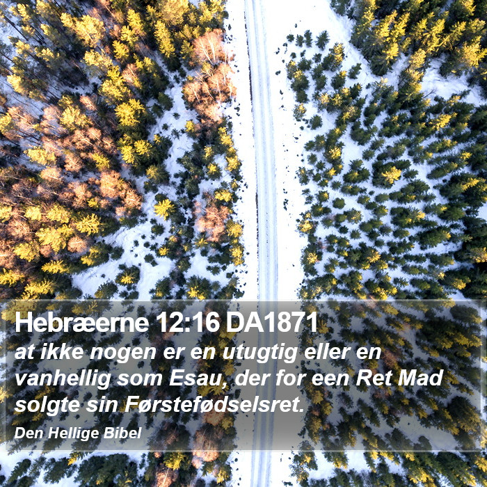 Hebræerne 12:16 DA1871 Bible Study