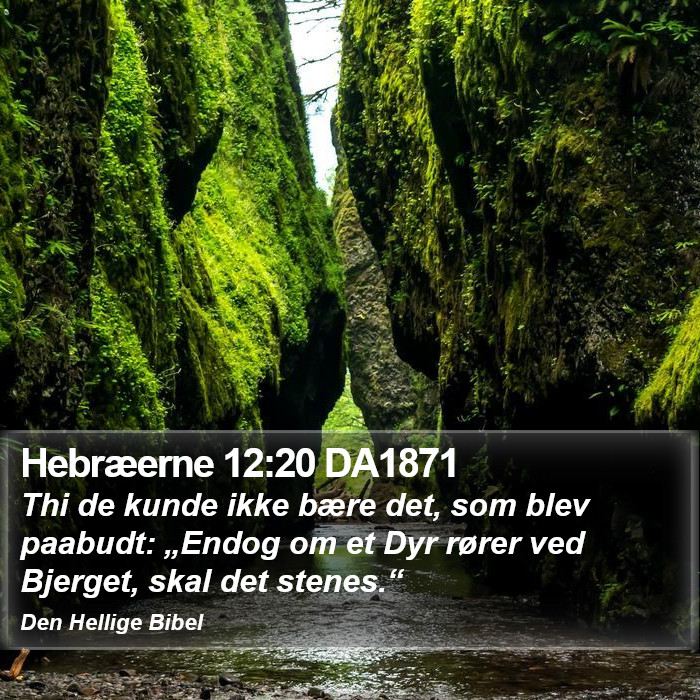 Hebræerne 12:20 DA1871 Bible Study