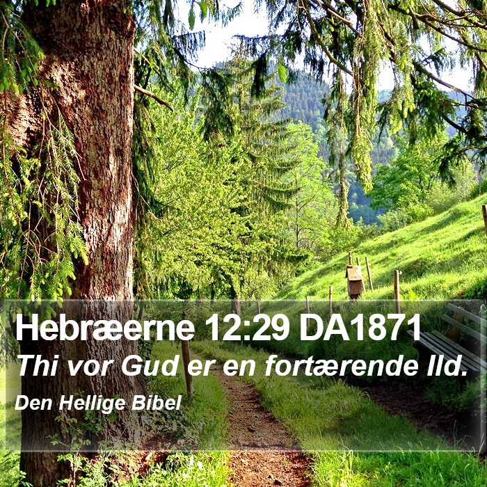 Hebræerne 12:29 DA1871 Bible Study