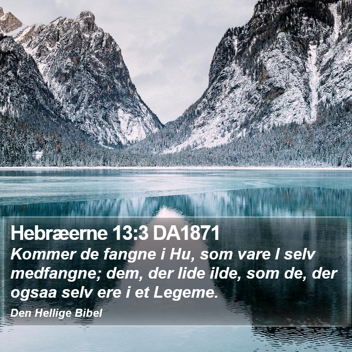 Hebræerne 13:3 DA1871 Bible Study