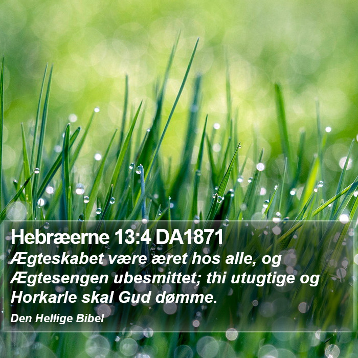 Hebræerne 13:4 DA1871 Bible Study