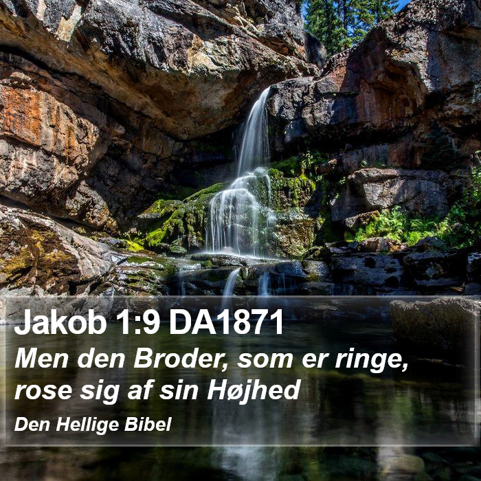 Jakob 1:9 DA1871 Bible Study